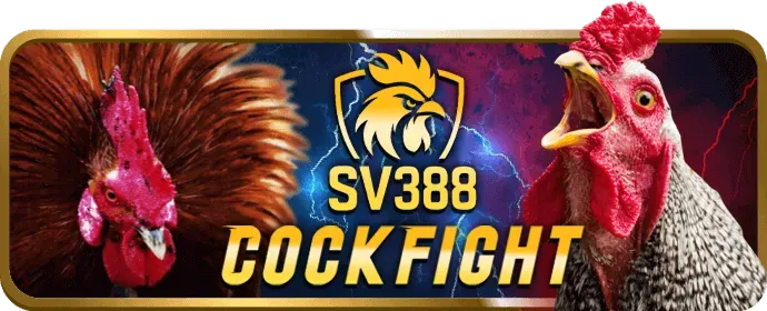 Vị trí văn phòng gaking79 app